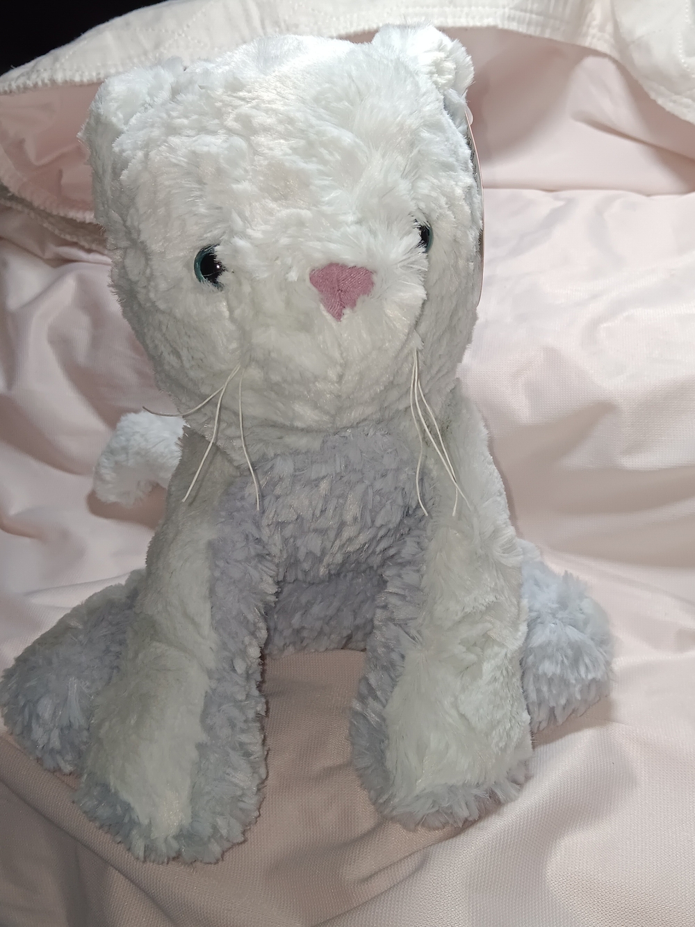 GUND Cozys Cat Plush Floppy Kitten 10"  Blue Eye Kitty #6058951 New w/ Tag